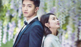 总裁的爱情电视剧,一段跨越千里的爱情传奇