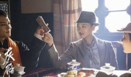 灰雁电视剧在线观看,揭秘神秘组织背后的爱恨情仇