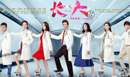 成长电视剧演员表,电视剧演员阵容揭秘